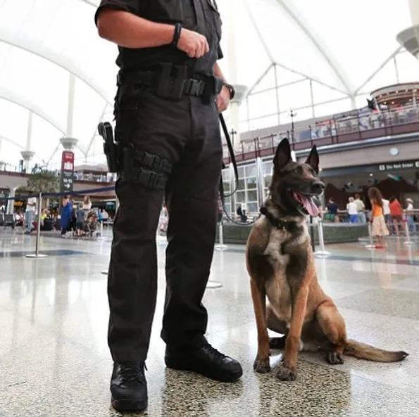 Canine Security Service